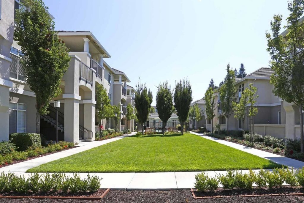 a grass rectangle